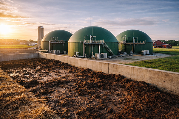 Agricultural Digesters